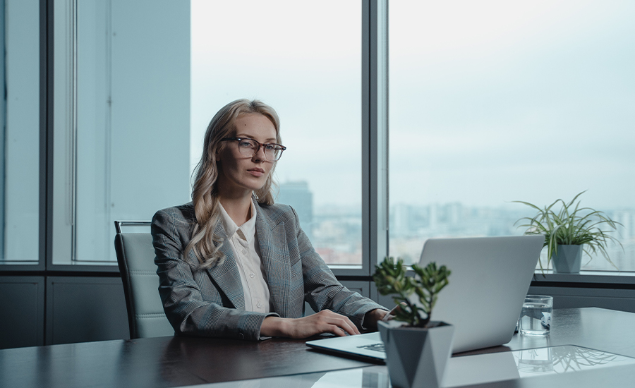 Business lady working